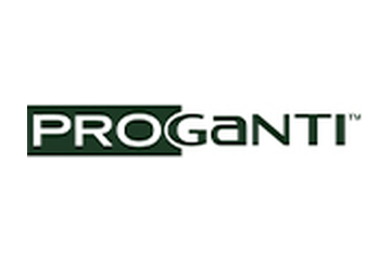 Perodua Proganti
